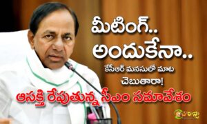 CM KCR Meeting : సారు మనసులో మాట చెప్తడా..?