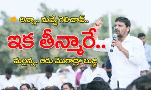 Teenmar Mallanna : తీన్మారే!