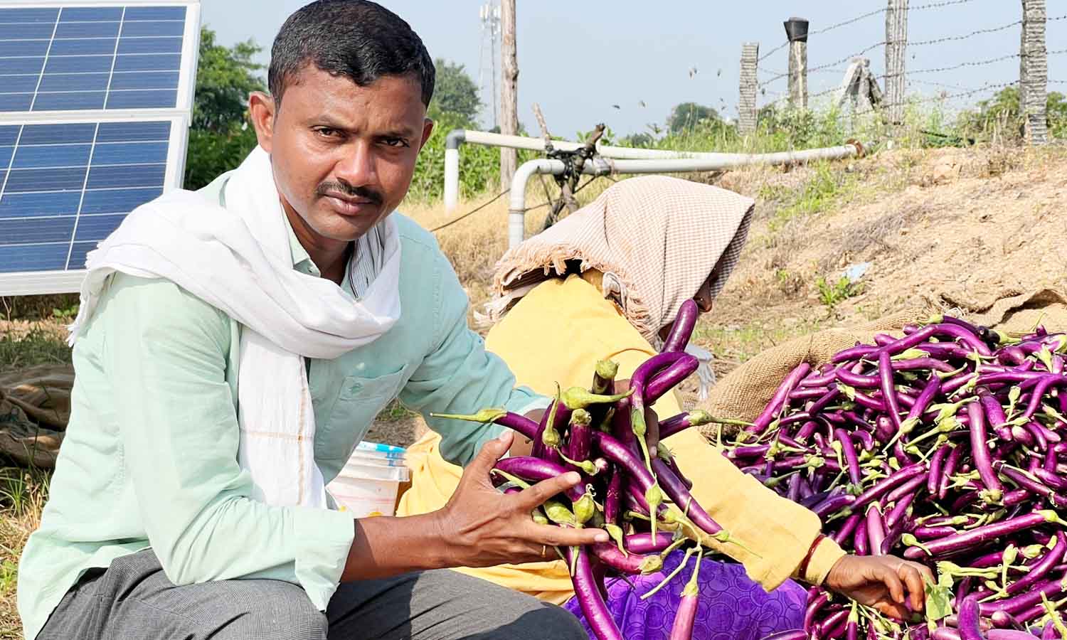 agriculture journalist : వ్యవ‘సాయమే’ లక్ష్యం